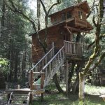 Δεντρόσπιτο Νο4