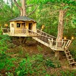 Δεντρόσπιτο Νο8