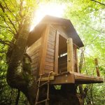 Δεντρόσπιτο Νο9